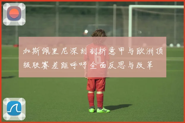 加斯佩里尼深刻剖析意甲与欧洲顶级联赛差距呼吁全面反思与改革
